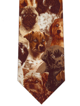 Dogs on brown