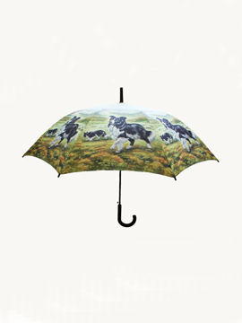 Umbrella - Collie Dogs