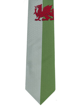 The Welsh Dragon Flag